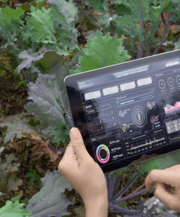 Agriculture EcoSystem Project